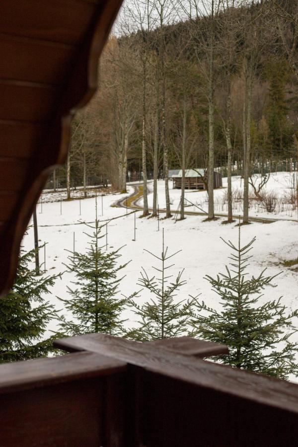 Golden Apartments Zakopane- One Bedroom Apartment - Mountain View&B14 Ngoại thất bức ảnh